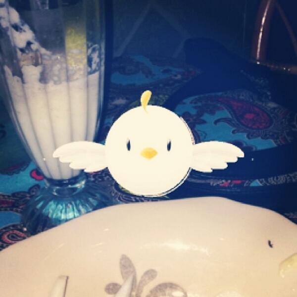 PicPicApp's tweet image. Pic Pic for dinner. #picpicoftheday #bestoftoday #picpic #instamood #love #instagreat #inst... ift.tt/1gD3C4J