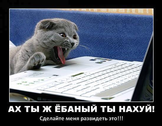 CaseyFrom's tweet image. На постоянную работу требуется опытный бухгалтер (можно женщина), а также опытная женщина (можно бухгалтер).