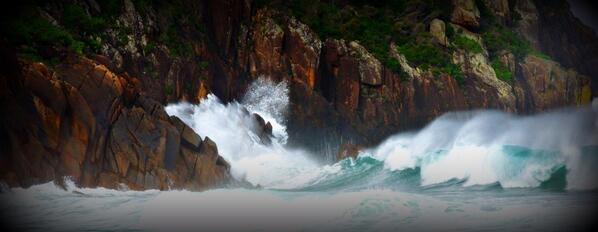 Love this image I took at Zenith Beach today.