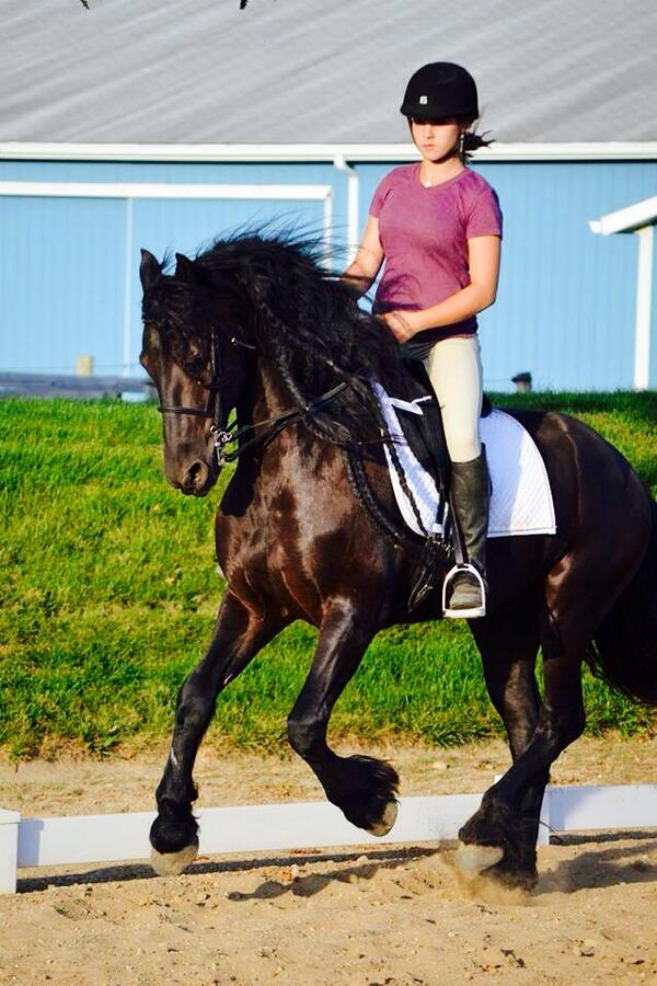 AH_Eventing tweet picture