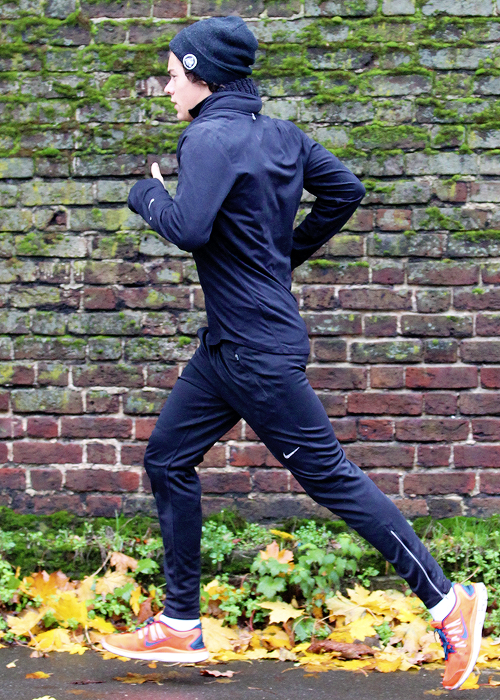 Bezpośredni odnośnik do obrazka