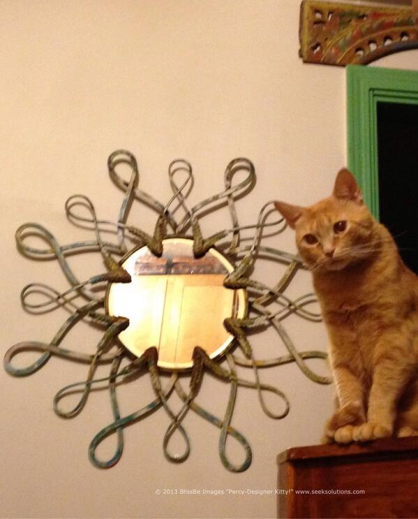 shannonseek's tweet image. #TechKitty lovers .. Pleads send positive energy and prayers for Percy Kitty .. Rushing him to vet now!