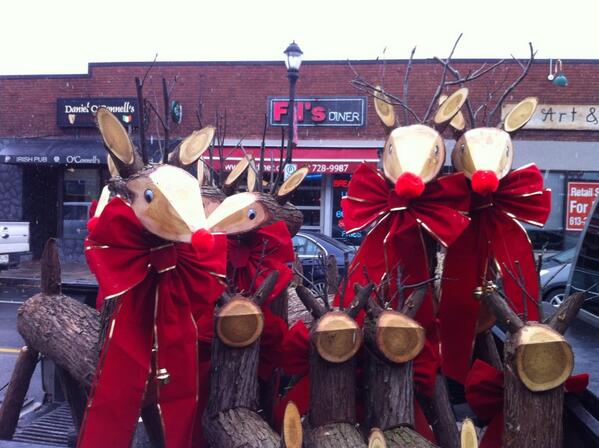 JeanetteAbe's tweet photo. Reindeer sighting in #hintonburg at Ravensara. http://t.co/reObCfsaeN