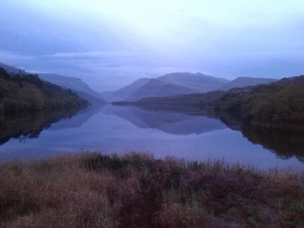 BakingRex's tweet image. absolutely love it here