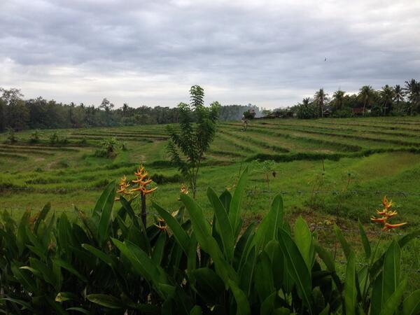 VERMOGEN2's tweet photo. http://t.co/7qsCKd21dW