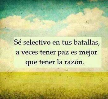 rmca89's tweet image. ....