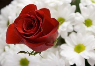 NRRG's tweet photo. http://t.co/qhaJfVs1sE