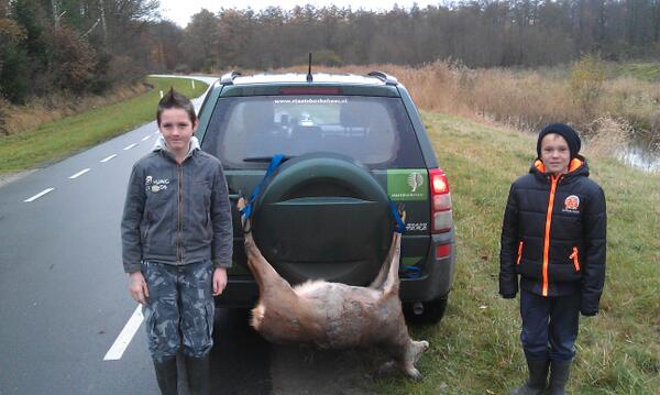 BoswachterHarco's tweet photo. Tijdens surveillance in #kuinderbos kregen we melding van aangereden #ree. Jesse en wisse hielpen het ree opruimen http://t.co/FdgSBHDUTS