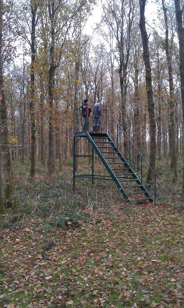 BoswachterHarco's tweet photo. Jesse en wisse zijn ook nog wezen kijken boj politiehonden training in #kuinderbos http://t.co/eNwkqCJ5O2