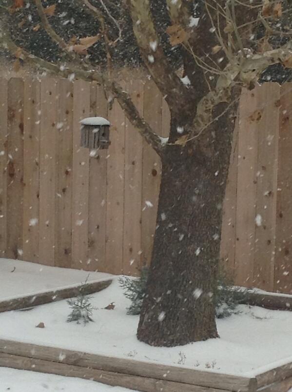 ediff's tweet photo. @NewsOK even the birds are staying in this morning! http://t.co/9YB6j0EiOK
