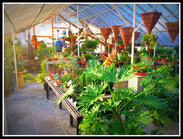 PeaceableFarms tweet picture