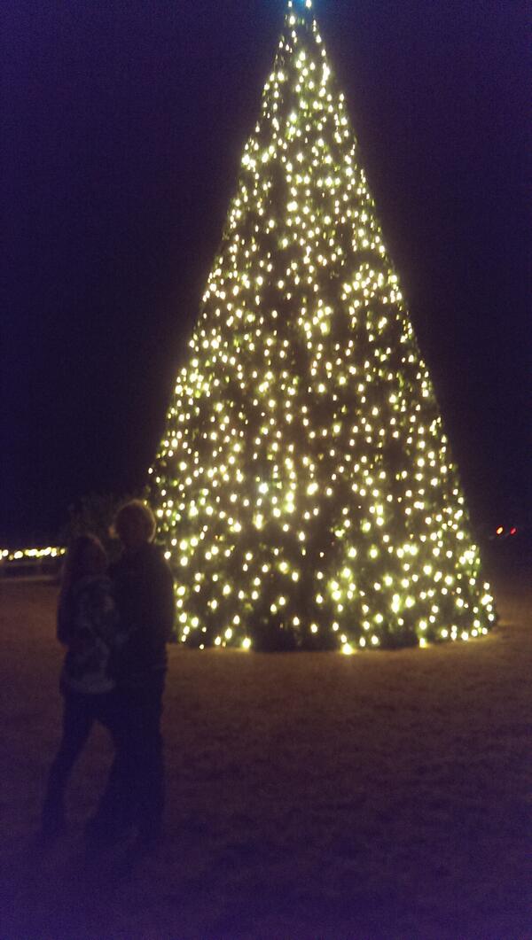 SumerKyle's tweet image. Surf city life