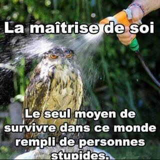 freemanfab's tweet photo. La_maitrise_de_soi http://t.co/b5oS7nA5tV