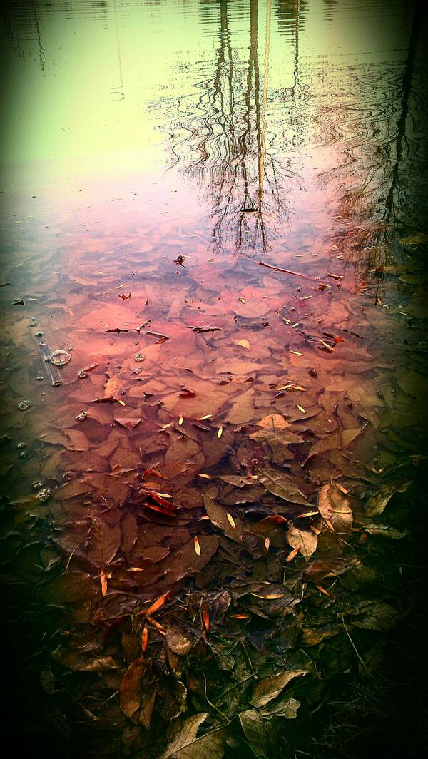 Kara Lock VanRoekel tweet media