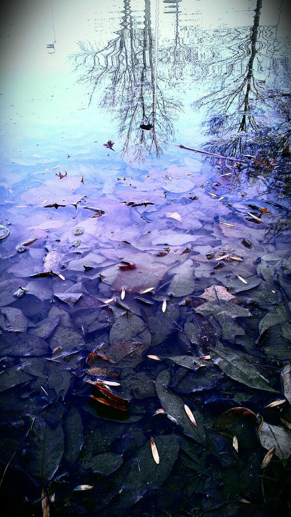 Kara Lock VanRoekel tweet media