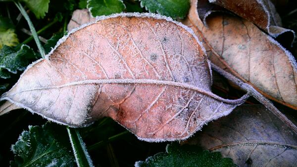 Kara Lock VanRoekel tweet media