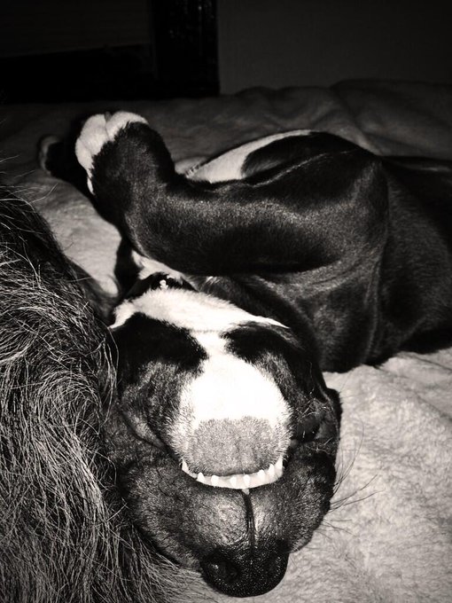 Kola's grill http://t.co/0uRowifE11<a href="/tag/blink182"class="tags"><span>#blink182</span></a>