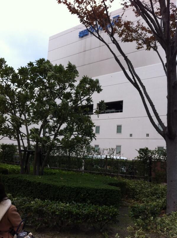 ここで配布してます(^^)
福岡サンパレス横です！