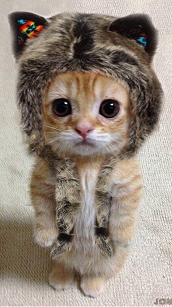 rickygervais's tweet photo. Wakey, Wakey! Go take on the world, tiger. Have a great day. http://t.co/tBlEh9wSt8