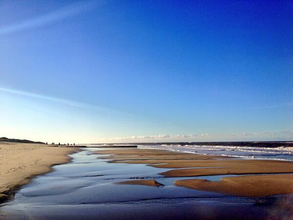 Sylt tweet media