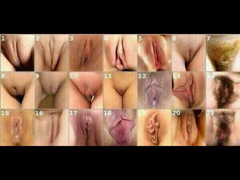 كل وحده تختار شكل كسها #رتويت #سكس :$