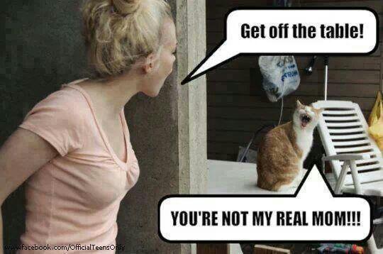 Syndicate Racing tweet media