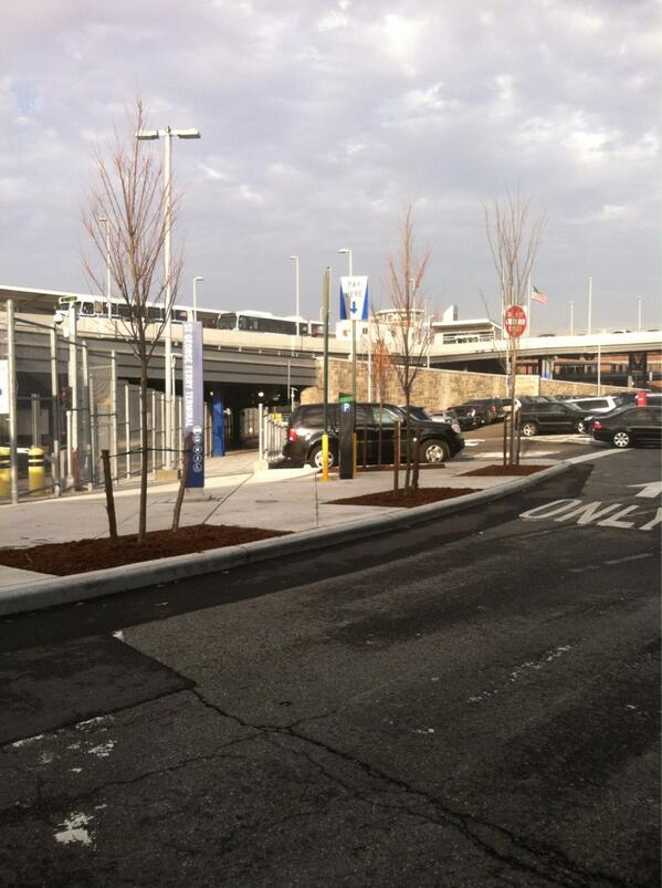 GreensideUp_SI's tweet photo. Tree planting # at Staten Island # ferry terminal http://t.co/rGvW60T3Cl