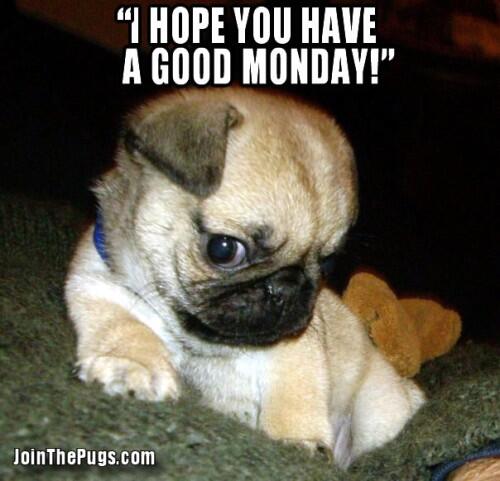 Wishing everyone a fantastic Monday! #sumterquiznos