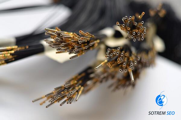 SOTREM SEO tweet media