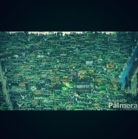 BetisyAtletico's tweet photo. "Que no animan cuando el Betis va perdiendo" Min 90, siendo humillados contra el eterno rival.. http://t.co/tXEftokmMK