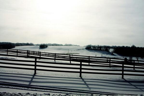 Lines and Shadows streamzoo.com/i/14178438