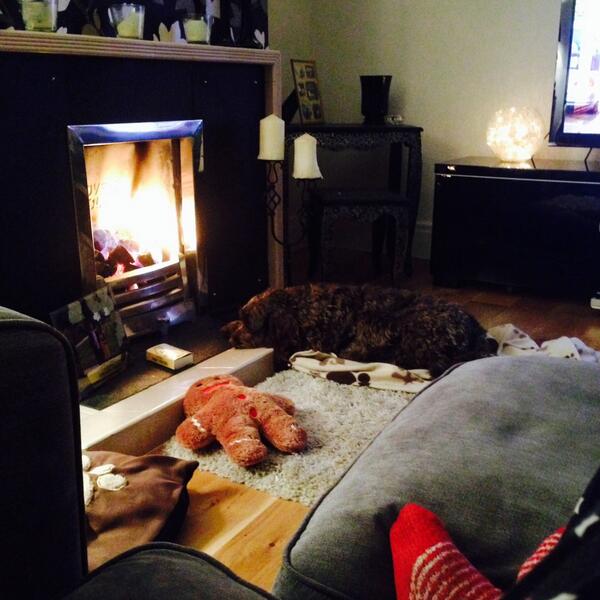 RubyCockapoo's tweet image. I love the fire..... @Missbmccormack @ThomasCraven1
