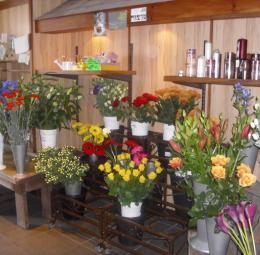 AandTCoopers's tweet photo. Great selections of flowers in our shop, along with helpful trained florists http://t.co/cHJhMDrUkT