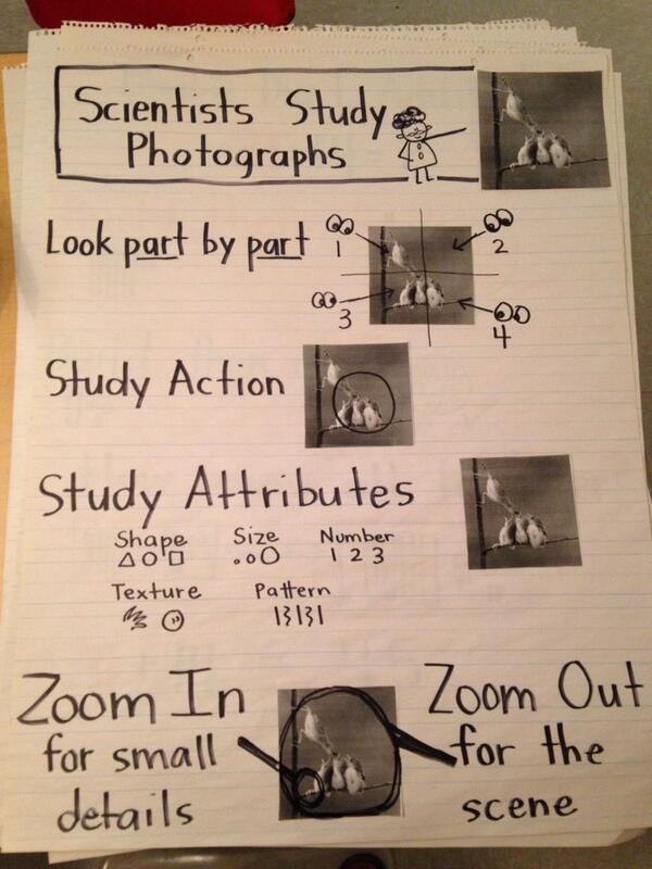 ValGeschwind's tweet photo. Teach kids to study photographs in books like scientists to learn new information. #NFLit http://t.co/lNJz3zKFmW