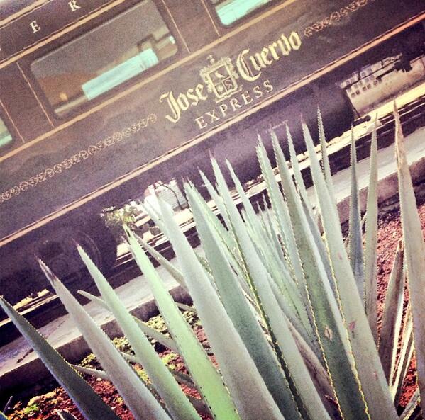 maytesotop's tweet photo. Heavy el jose cuervo express! Y Super recomendado hacerlo con @ActividadesMX http://t.co/lGlacG3yFi