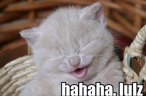 themileycat tweet picture