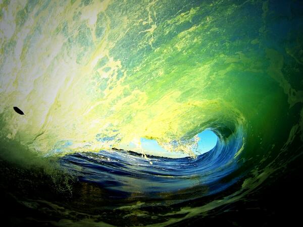 ToddQuigley tweet media