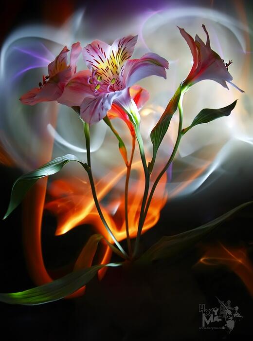 حسنين عادل tweet media