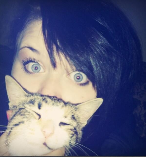 CodiGmai's tweet image. 🐱❤👍best cat ever @cutecatsof