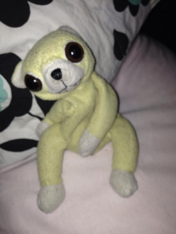 loghean_strause's tweet image. #funfactaboutme I still sleep with this every night