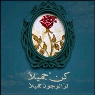 seefalkuwait tweet picture