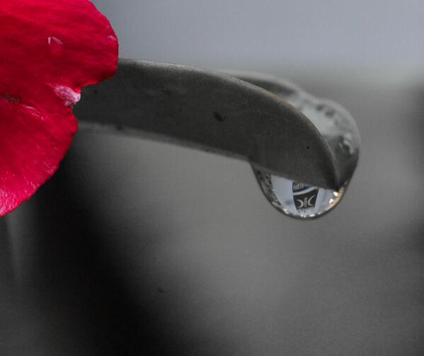 Sambut pagi dengan embun harapan yang basahi hati. Jangan pernah lelah berbakti #AYTKTM
Foto @Relawan_PKSFoto