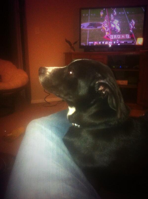 Scott_Rueter22's tweet photo. Mans best friend. http://t.co/UMxbzaxixI