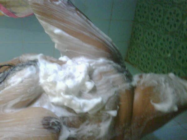 evin_susanti's tweet photo. Mandi dulu ah sambil masturbasi... http://t.co/pjmO1gkq9D