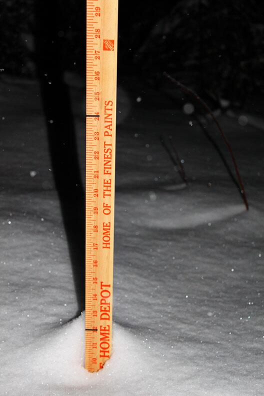 Knik200's tweet photo. Got 10.5" of snow here in Willow. We're hopeful trail conditions will be perfect on race day Jan. 4 http://t.co/KoORX1W0Gh