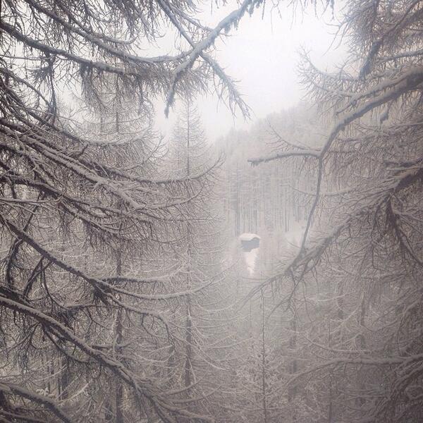 violetlily333's tweet image. #chasingsnow &amp;amp; my Swiss Mountain Chalet ☁️❄️ by nicolehunziker