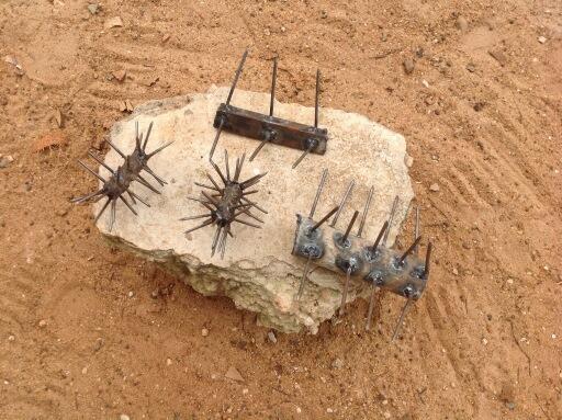 View image on Twitter