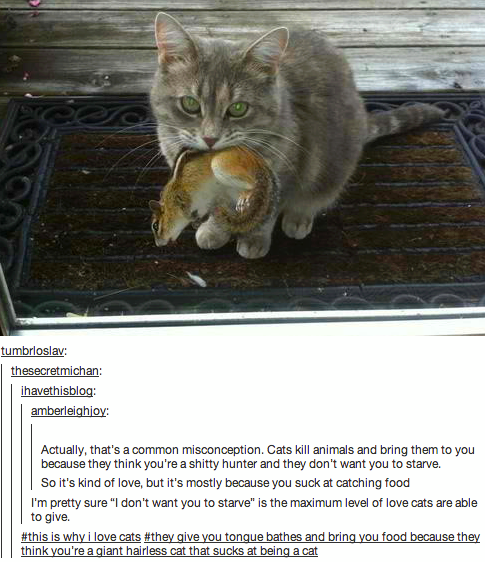 GiveMeInternet tweet picture