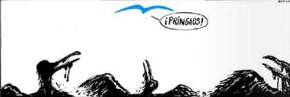 david rovira pardo (@davidrovirap) on Twitter photo 