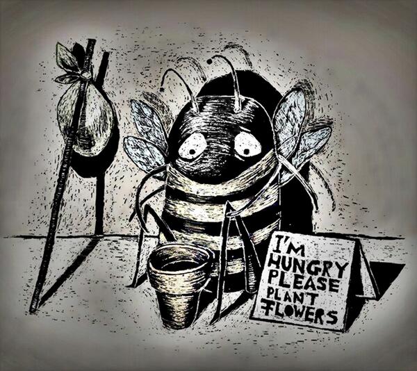 BialCitou's tweet photo. Pra você, uma das poucas pessoas que vai traduzir e entender essa mensagem, tenho 1 notícia: Você pode mudar o mundo. http://t.co/kAmivRlvJB